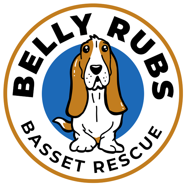 Basset hound rescue north 2024 west